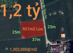 Bán gấp lô đất lúa gần trục động lực giá 1,2 tỷ