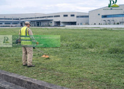 Dịch vụ cắt cỏ, dọn dẹp cảnh quan công ty, nhà xưởng tại Đồng Nai