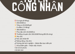 Tuyển Lao động phổ thông Huyện Tân Phước