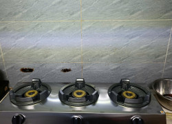 Bếp gas bán công nghiệp Bluestar BS-03SK