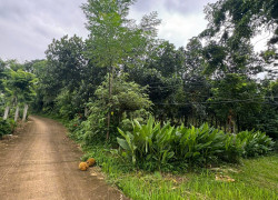 Lô đất nghỉ dưỡng Ba Vì, cách trung tâm Hà Nội chỉ 60km