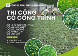 THI CÔNG CỎ CÔNG TRÌNH CHUYÊN NGHIỆP – ĐA DẠNG CHỦNG LOẠI, PHỦ XANH BỀN ĐẸP
