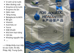 AQUA EM - men vi sinh đậm đặc chuyên xử lý nước ao