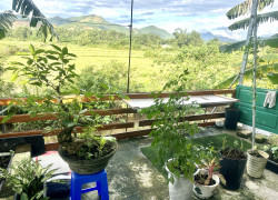 800 triệu - nhà giấy tờ 3 lá - mặt tiền đường 10,5m xã Bà Nà