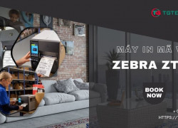 Máy in mã vạch Zebra ZT231