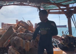 THƯ MỜI - CÔNG TY GIÁM ĐỊNH HÀNG HẢI PHƯƠNG BẮC