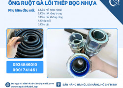 Phụ kiện ống ruột gà, đầu nối ống ruột gà, PG sắt, ống sun sắt