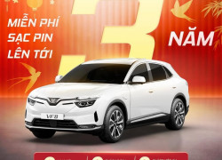 LÌ XÌ TÂN NIÊN - MỪNG XUÂN BÍNH NGỌ