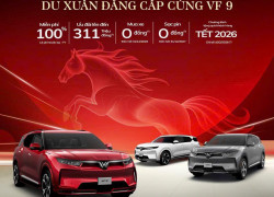 DU XUÂN ĐẲNG CẤP CÙNG VF 9