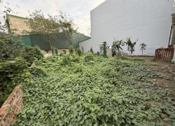 CẦN BÁN 238M ĐẤT-BÁT KHỐI GIA LÂM-LÔ GÓC-VIEW HỒ-MẶT TIỀN RỘNG-MẶT NGÕ ÔTÔ TRÁNH