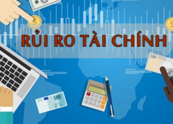 Khoá học quản trị rủi ro tài chính cho người mới bắt đầu