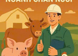 Tuyển 2 công nhân chăn nuôi vịt BAO ĂN Ở làm tại Bình Thuận