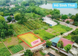 Bán đất Ngọc Nhị, Cẩm Lĩnh ( Bất Bạt ), Ba Vì, Hà Nội gần khu vực đông dân cư