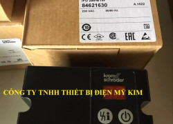 Bộ điều khiển đầu đốt tự động KromSchroder