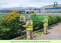 DỊCH VỤ CẮT CỎ – VỆ SINH CẢNH QUAN KCN AMATA, KCN BIÊN HÒA ĐỒNG NAI