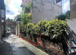 GIA QUẤT - THÔNG NGỌC LÂM - LÝ SƠN