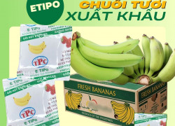 Giữ trái cây tươi lâu với gói hút khí ethylene ETIPO!