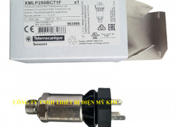 Caảm biến truyền tín hiệu áp suất Telemecanique XMLP250BC71F