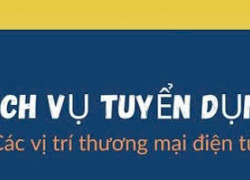 Tuyển NV Seller Support Executive có KN ngành thương mại điện tử