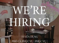 CHI DAO BAO Q1 & Q6 tuyển phục vụ, pha chế, bếp, phụ bếp