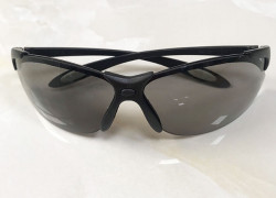 Kính bảo hộ A902 đen Sperian