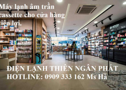 Top Máy Lạnh Âm Trần Giá Thấp Dành Cho Cửa Hàng Tiện Lợi