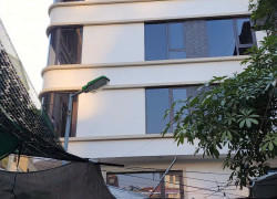 Bán Tòa Nhà Xây Mới Một Nhà Ra Phố Nguyễn Trãi