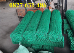 Lưới thép bọc nhựa, Lưới lồng cá, Lưới thép bọc nhựa b30 30x30, Lưới 40 sân bóng