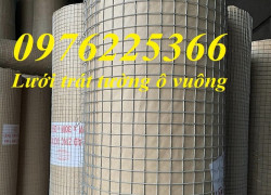 Lưới thép trát tường ô vuông 10x10