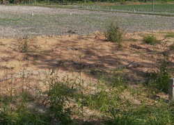 BÁN ĐẤT GIÁ TỐT VỊ TRÍ ĐẸP, SINH LỜI CAO