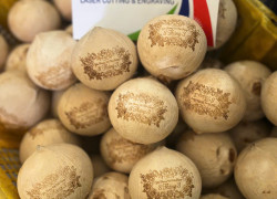 Dừa khắc laser - quà tặng ý nghĩa