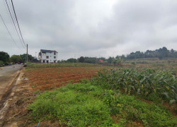 Đất tái định cư Đồng Doi – điểm sáng đầu tư gần ĐHQG Hà Nội