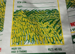 Bao lúa giống 40KG – Lúa cấy làm sạch 40KG – Lúa cấp xác nhận 40KG
