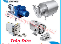 Bơm cánh gạt Adamant Valves | Bơm vệ sinh Adamant Valves