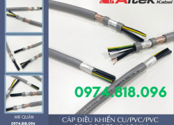 Tiêu điểm: Cáp tín hiệu điều khiển 8 lõi Rvv, Rvvp