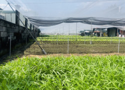 Lô đất gần mặt tiền Song Hành ,Tân Hiệp  DT 2018m2. Giá chỉ 26 tỷ (TL)