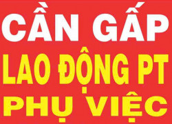 Tuyển NAM LĐPT làm phụ bốc hàng xưởng giặt - sấy BAO ĂN Ở