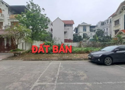 bán đất phân lô khu 31Ha Trâu Quỳ, 250m, mặt tiền 12.5m, đường nhựa, vỉa hè, ôtô dừng đỗ