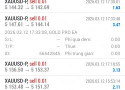 Robot giao dịch tự động