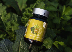 CHẤT XƠ - CHÌA KHÓA THẦM LẶNG CHO MỘT CƠ THỂ KHỎE MẠNH