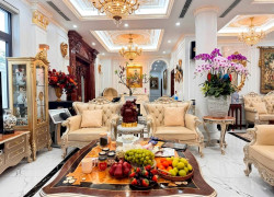 Bán gấp Biêt Thự Riverside Việt Hưng 250m lô góc, full nội thất có 90.8 tỷ có TL