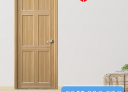 cửa nhựa đl nvs