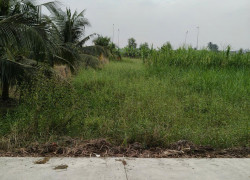 Cần bán lô đất thổ cư mặt tiền đường đan bờ kênh N3, Phường Tân Khánh, Thành Phố Tân An, Long An(Cũ)