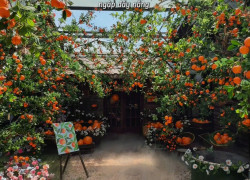 Mâm Coffee tuyển NV pha chế, thu ngân, phục vụ làm tại Q12