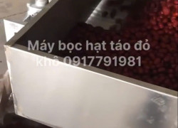 Máy tách hạt táo đỏ công nghiệp