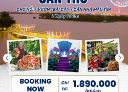 Hành Trình Miền Tây Đặc Sắc: Mỹ Tho – Cần Thơ – Bạc Liêu – Cà Mau | Tour Hot Nhất