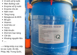 CLOSTRIDIUM BUTYRICUM – GIẢI PHÁP THAY THẾ KHÁNG SINH HIỆU QUẢ