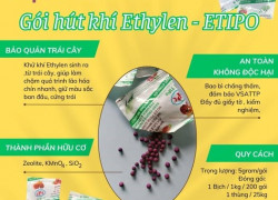 Gói hút ẩm cho nông sản có giúp giữ hàng luôn khô ráo?