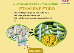 Vì sao nông sản xuất khẩu nên dùng gói hút ẩm?