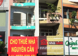 🏡 Bán Đất Sóc Sơn Chính Chủ - Dưới 1 Tỷ, Sổ Đỏ Riêng, Đường Ô Tô Tránh